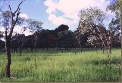 Kununurra
